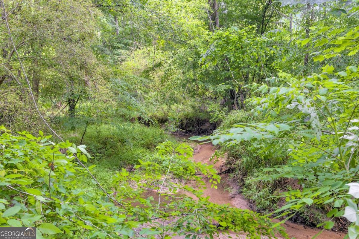 335 Elizabeth Court Colbert - Photo 31