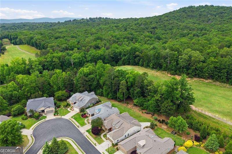 311 Puckett Creek Court Canton - Photo 59