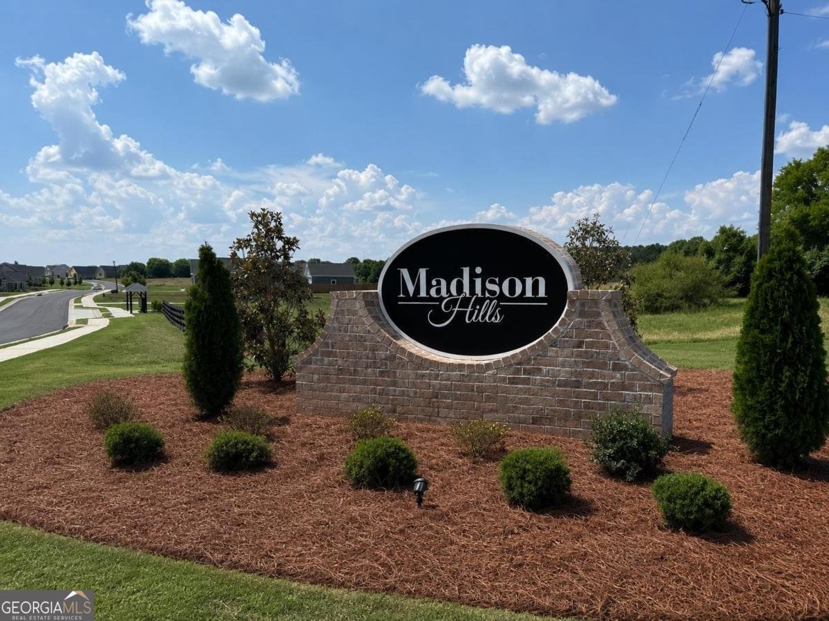 1091 Madison Hills Drive Madison - Photo 52
