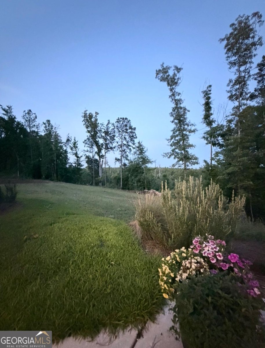 255 Chimney Rock Trail Milledgeville - Photo 41