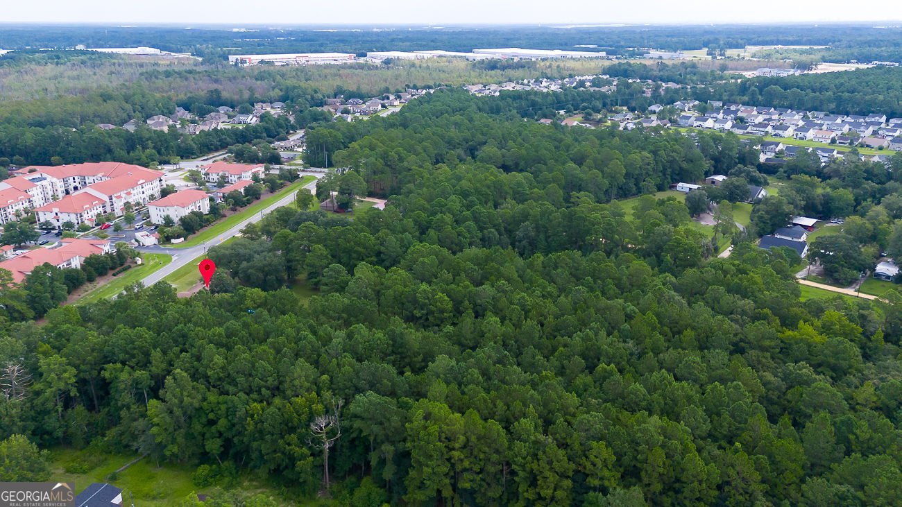 1325 Pine Barren Road Pooler - Photo 40