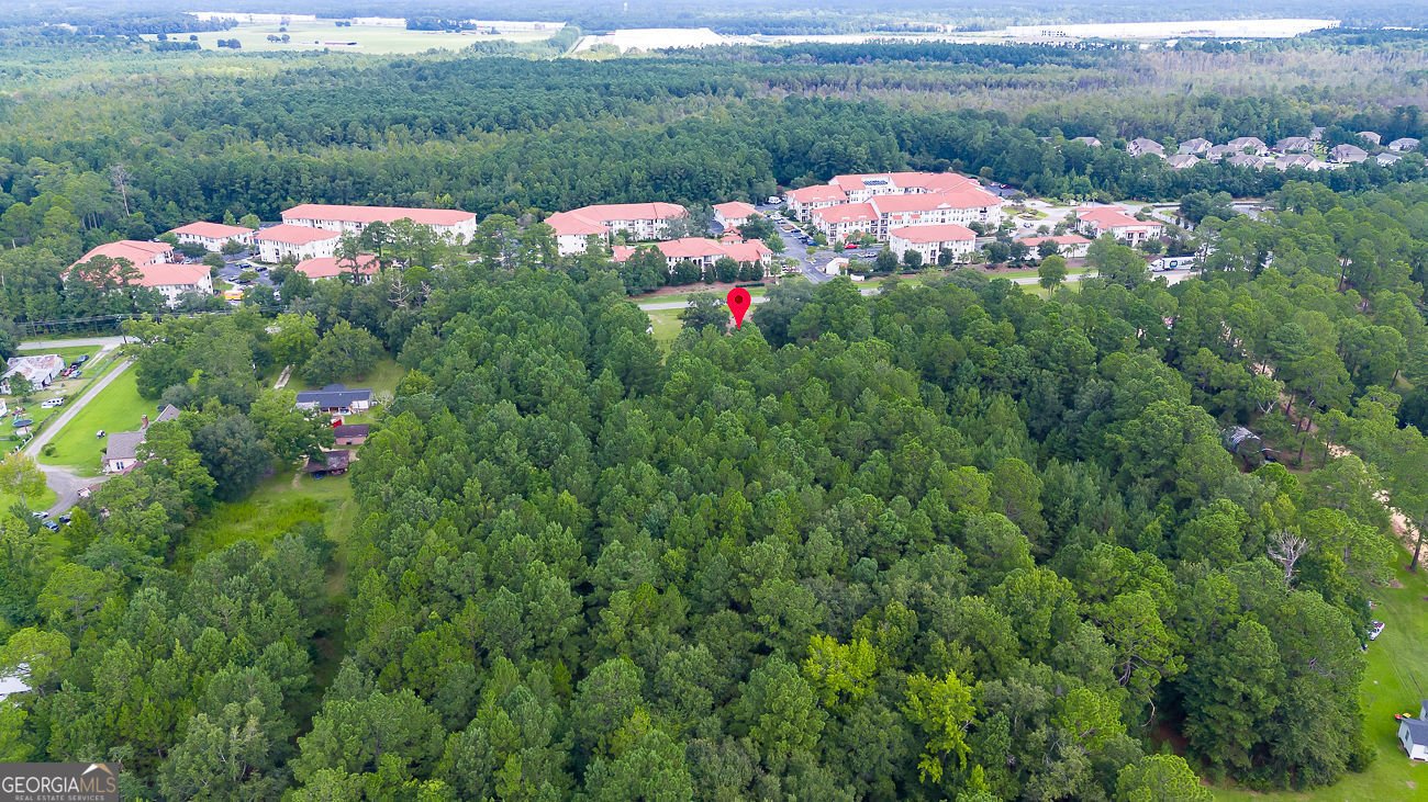 1325 Pine Barren Road Pooler - Photo 42