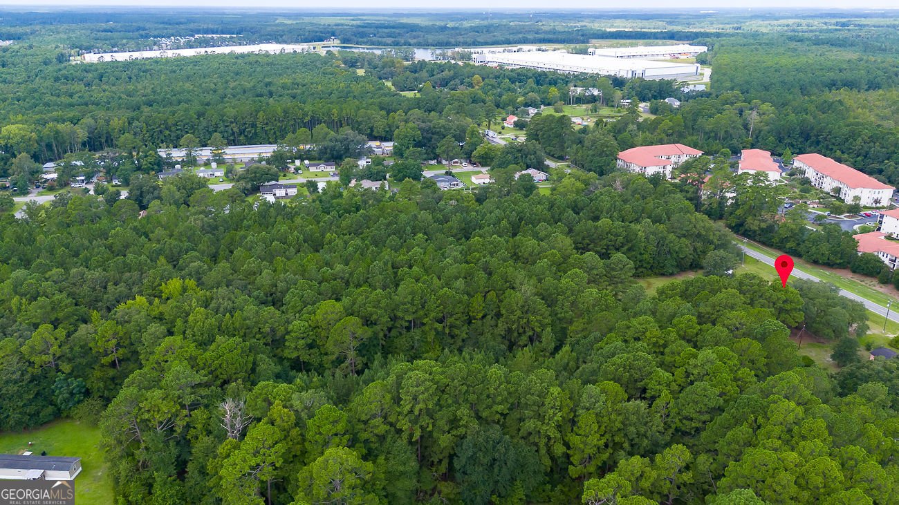 1325 Pine Barren Road Pooler - Photo 43