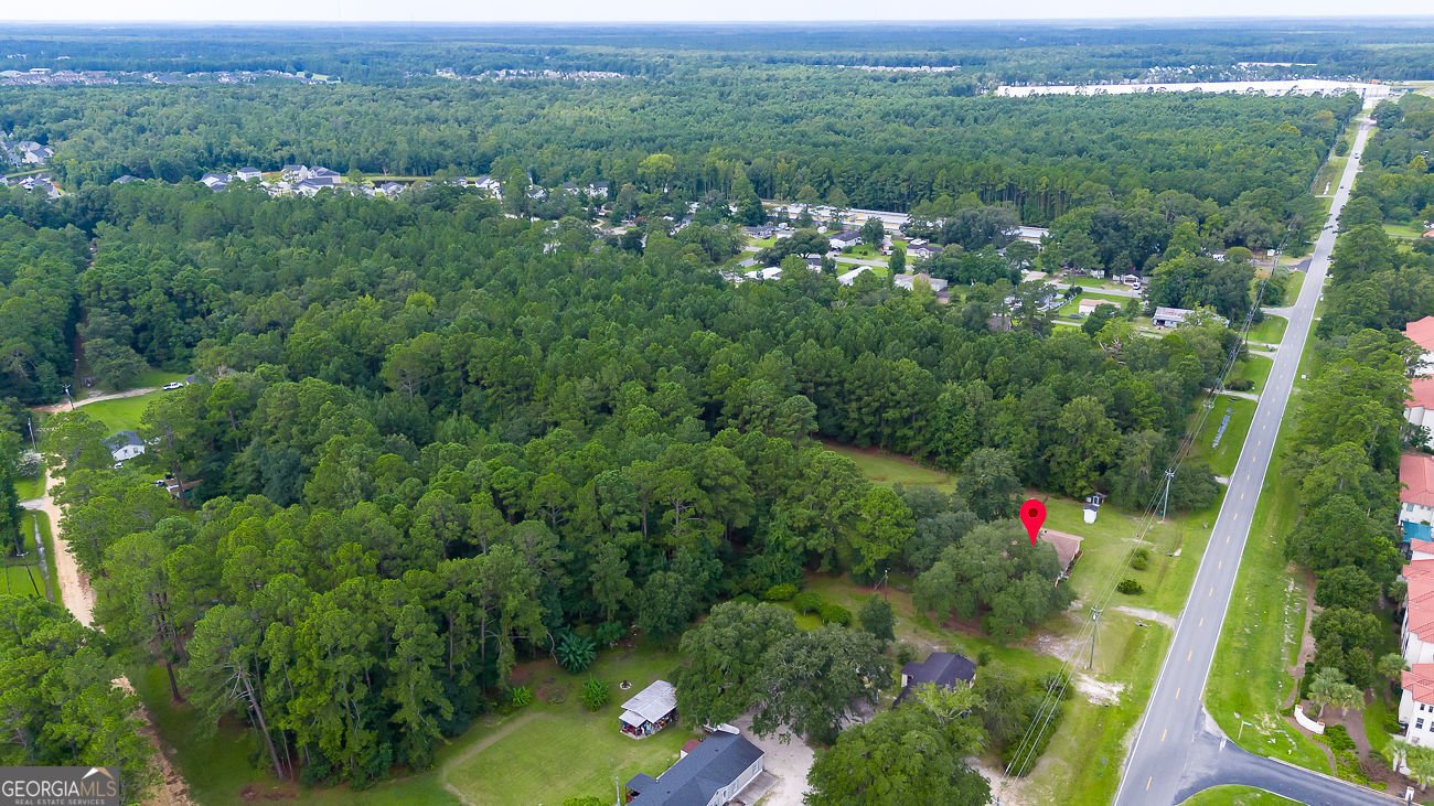 1325 Pine Barren Road Pooler - Photo 44