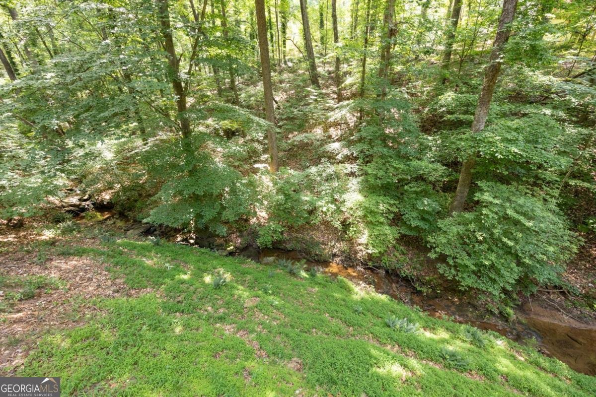 621 Spring Bluff Court Marietta - Photo 54