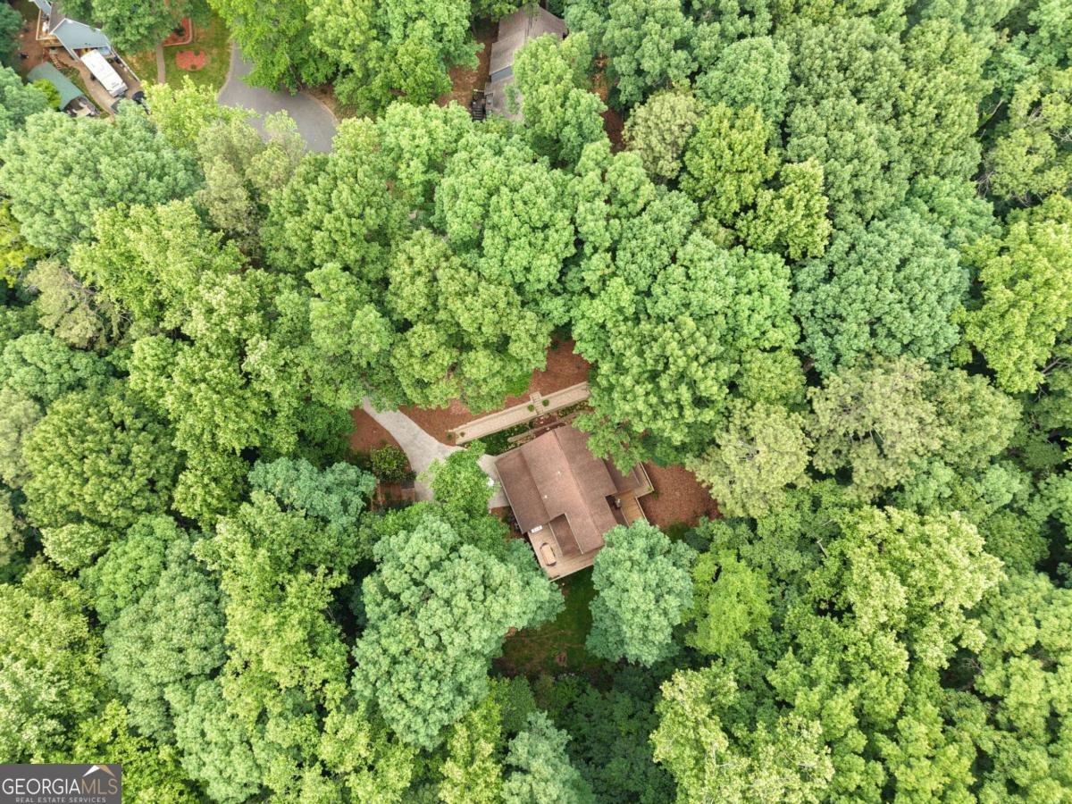 621 Spring Bluff Court Marietta - Photo 73