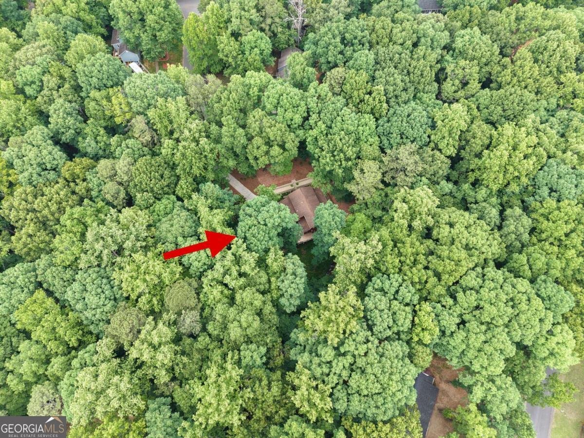 621 Spring Bluff Court Marietta - Photo 74