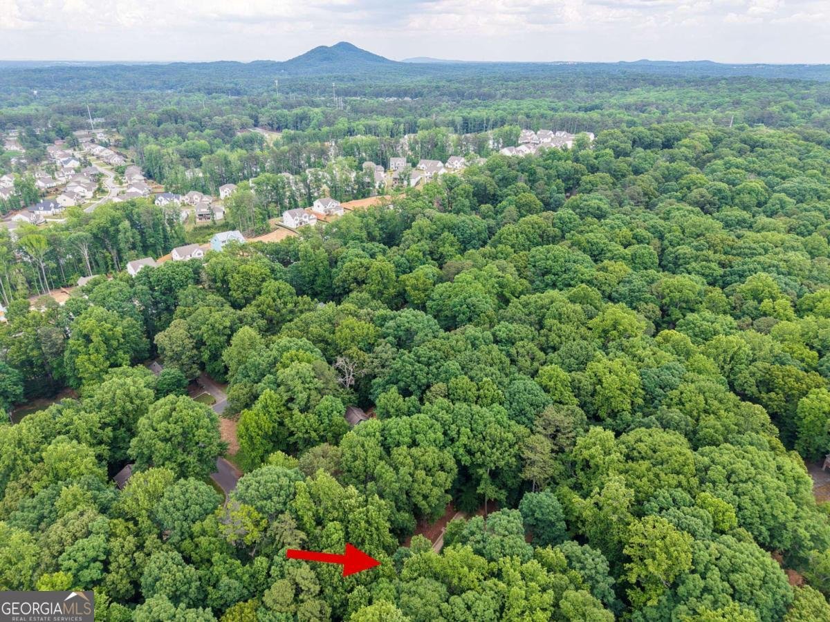 621 Spring Bluff Court Marietta - Photo 76