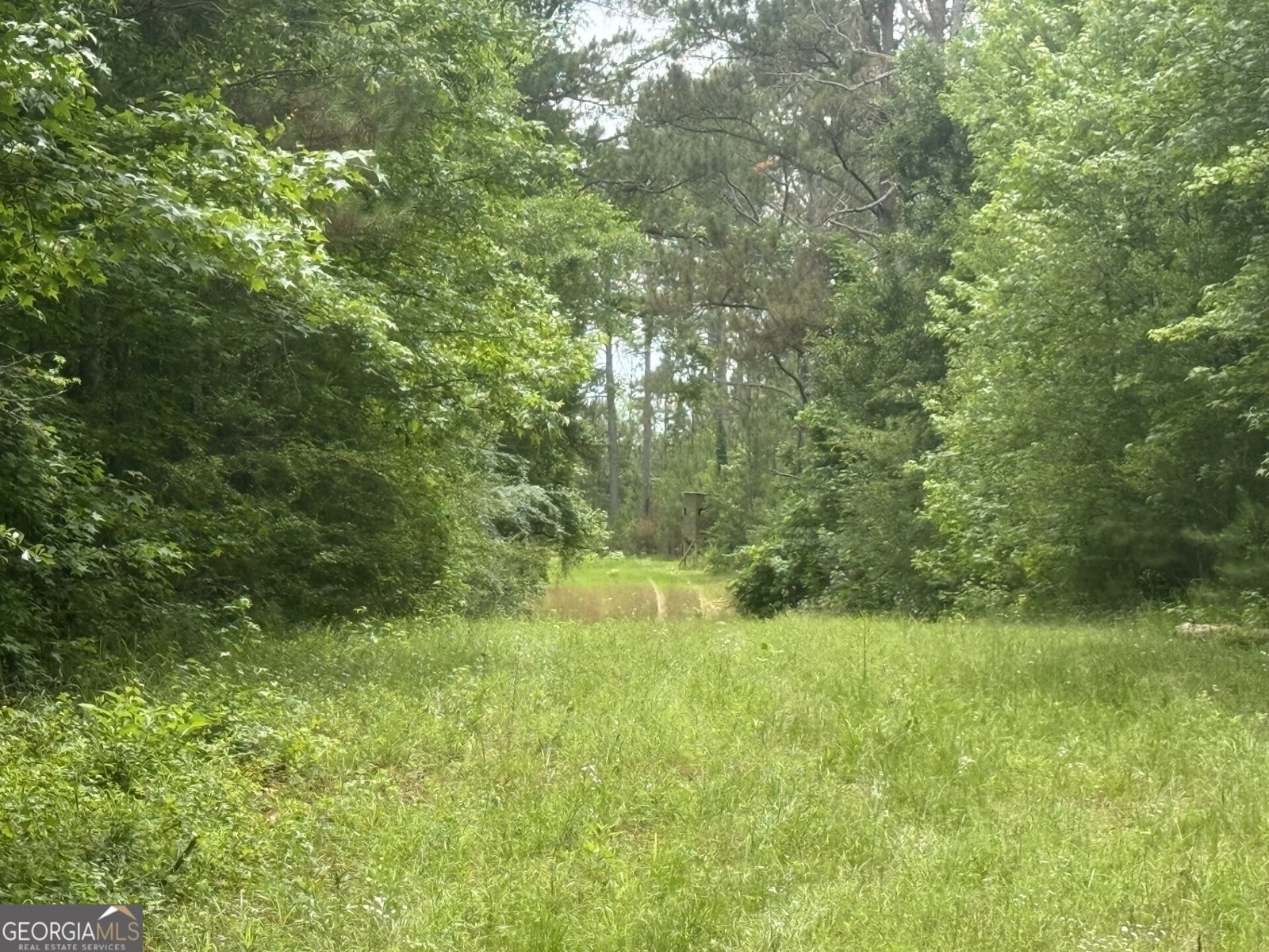 50 Harvest Road Coleman - Photo 10