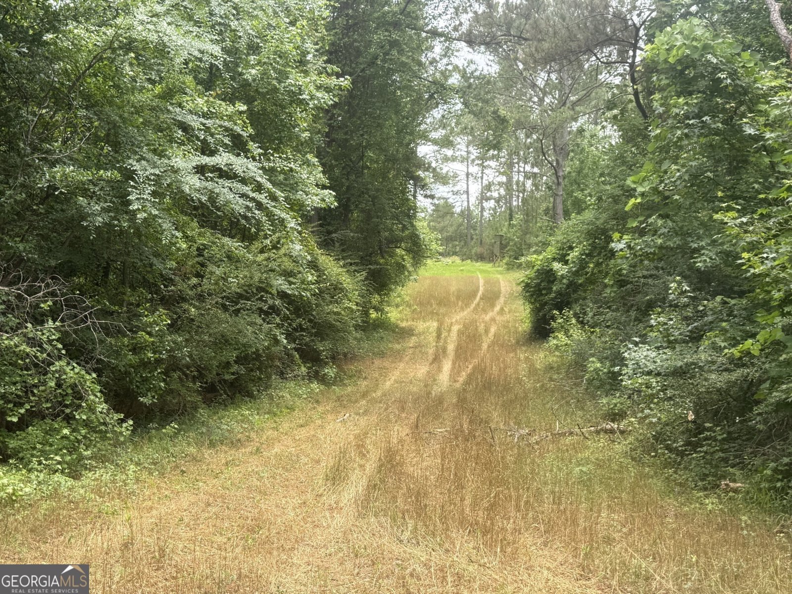 50 Harvest Road Coleman - Photo 13