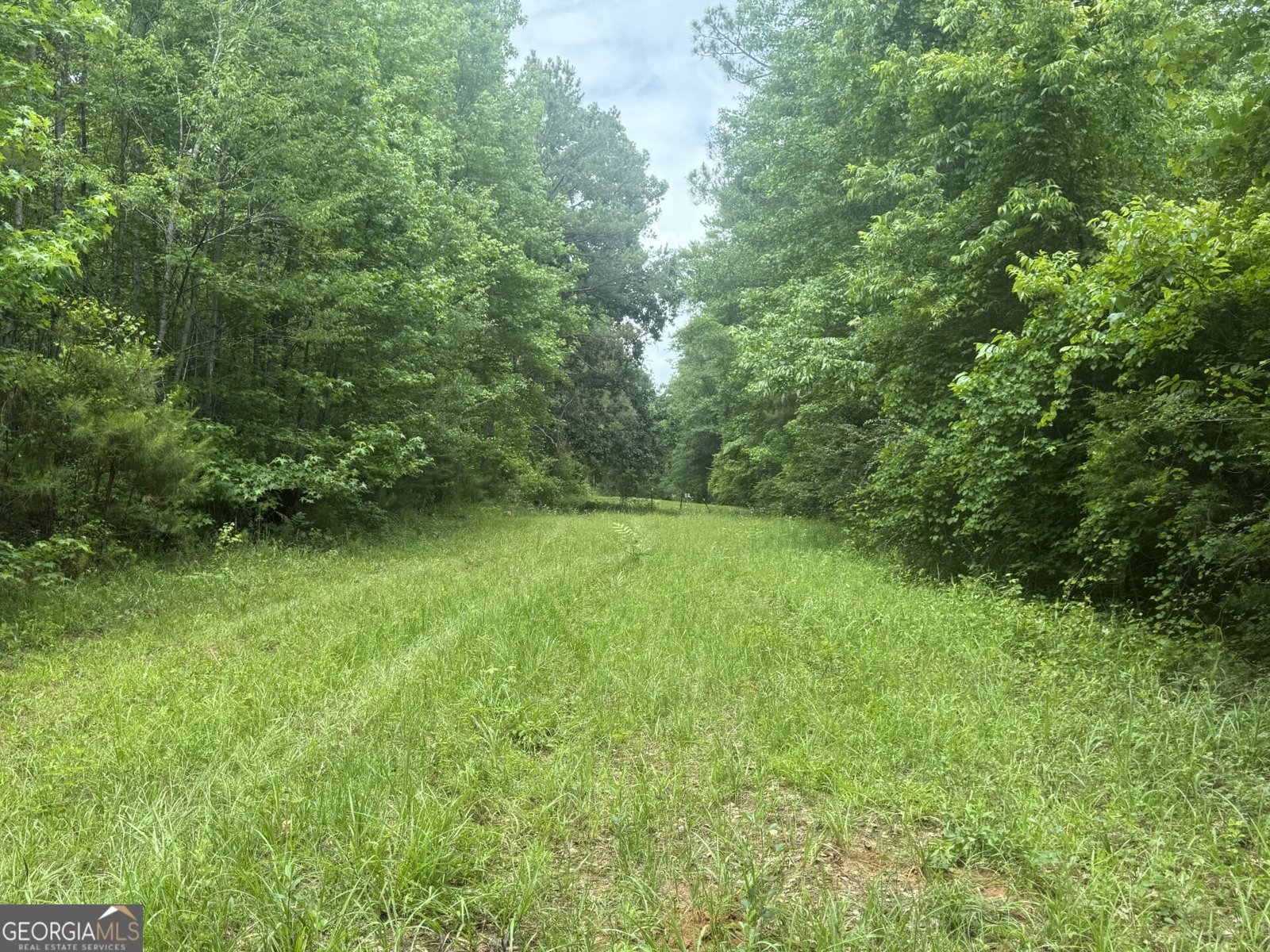 50 Harvest Road Coleman - Photo 14