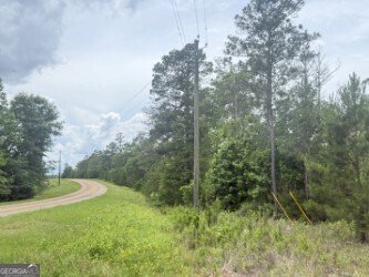 50 Harvest Road Coleman - Photo 15