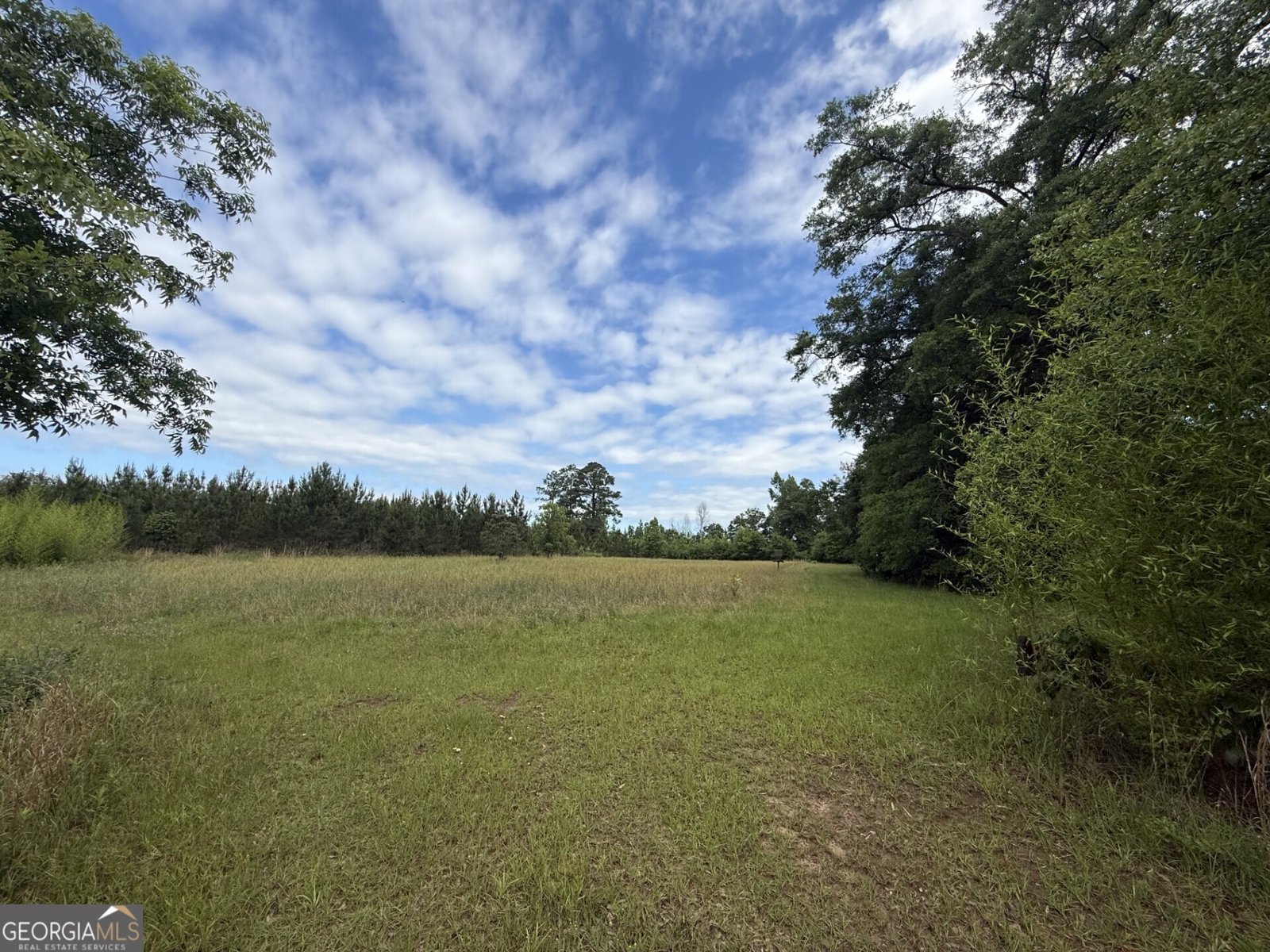 50 Harvest Road Coleman - Photo 19