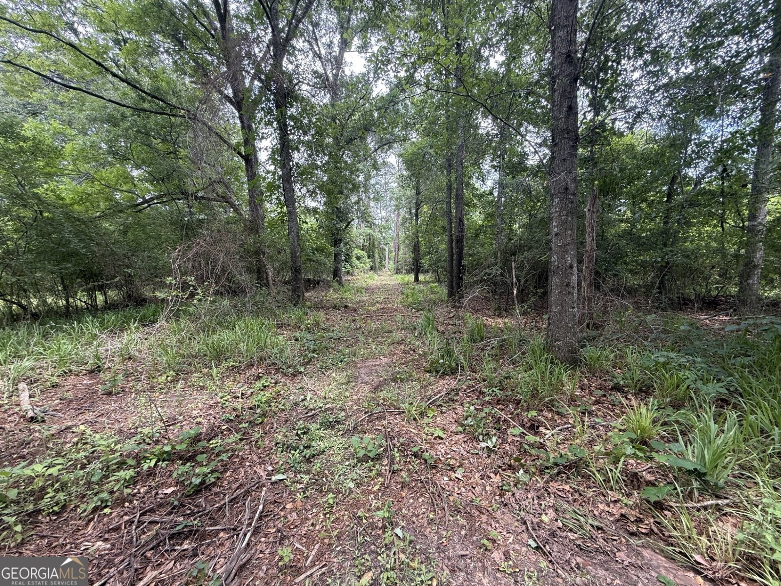 50 Harvest Road Coleman - Photo 20