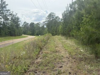 50 Harvest Road Coleman - Photo 6