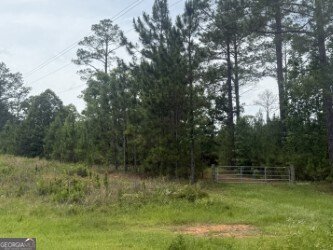 50 Harvest Road Coleman - Photo 9
