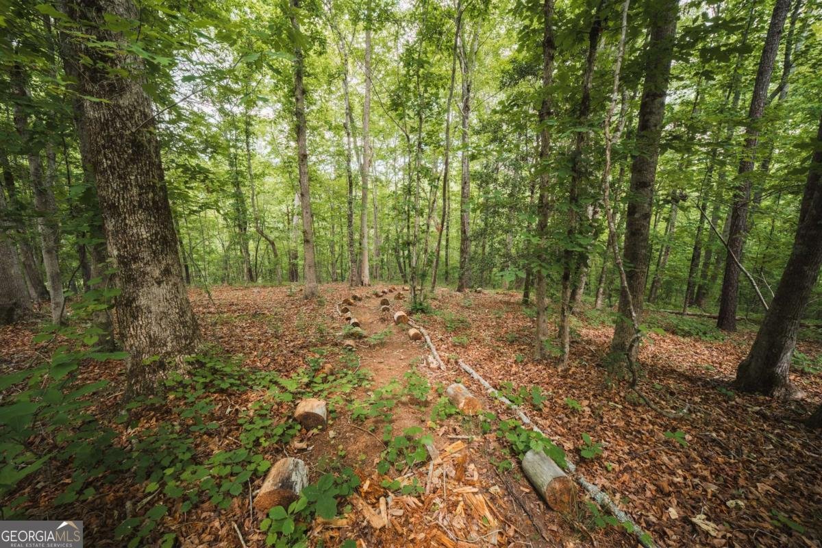 2197 Damascus Road Ball Ground - Photo 38