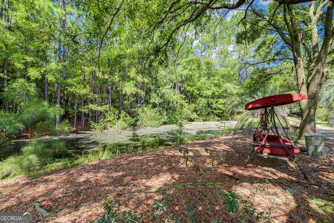 1335 Pine Barren Road Pooler - Photo 19