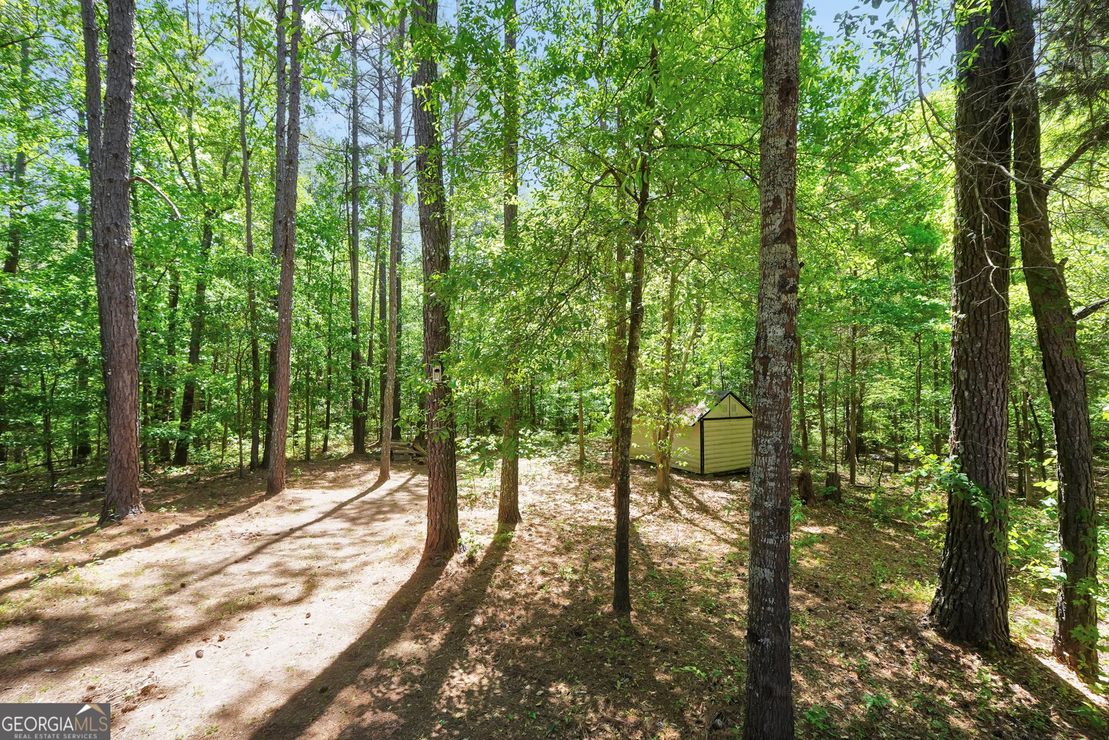 1022 Miss Amber Way Locust Grove - Photo 52