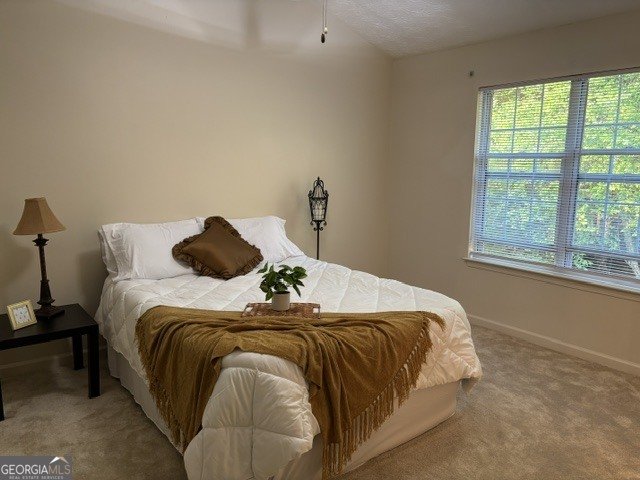 6947 Red Bone Way Lithonia - Photo 12