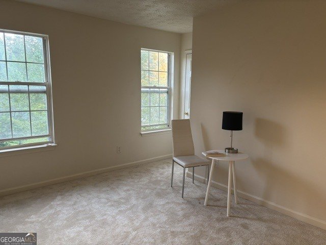 6947 Red Bone Way Lithonia - Photo 21