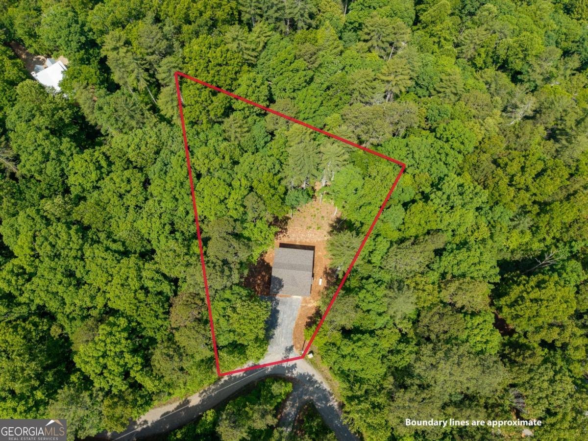 121 Orbit Lane Ellijay - Photo 42