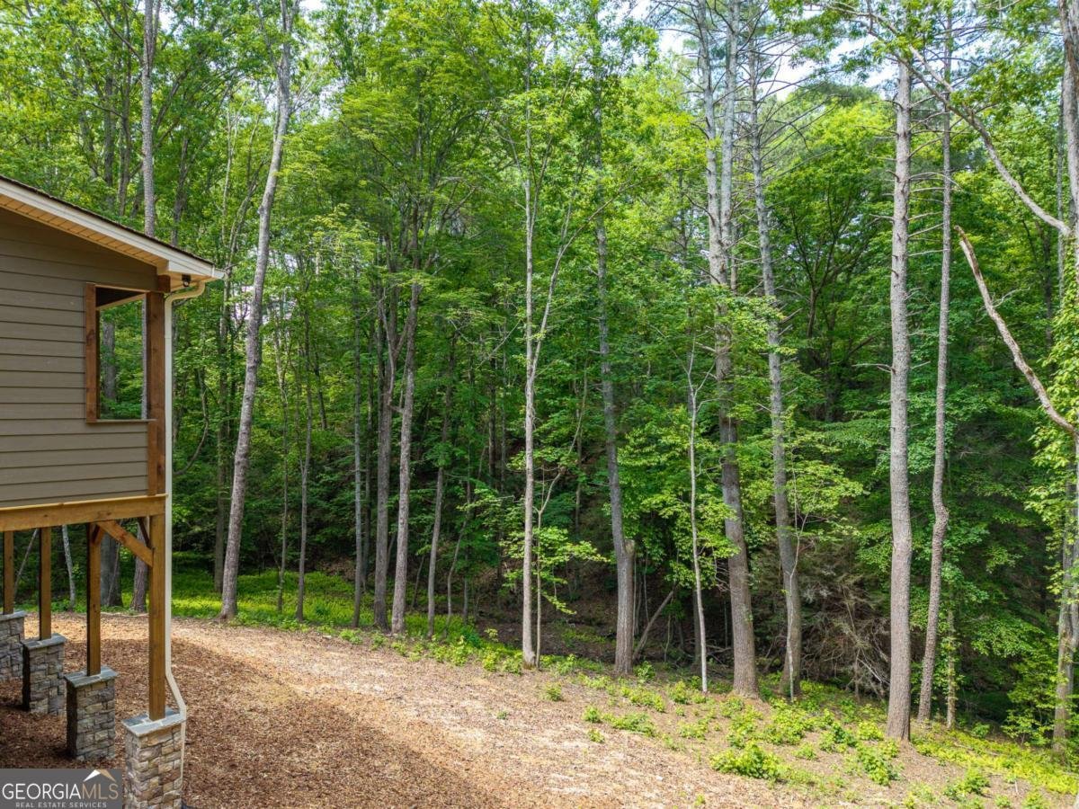 121 Orbit Lane Ellijay - Photo 48
