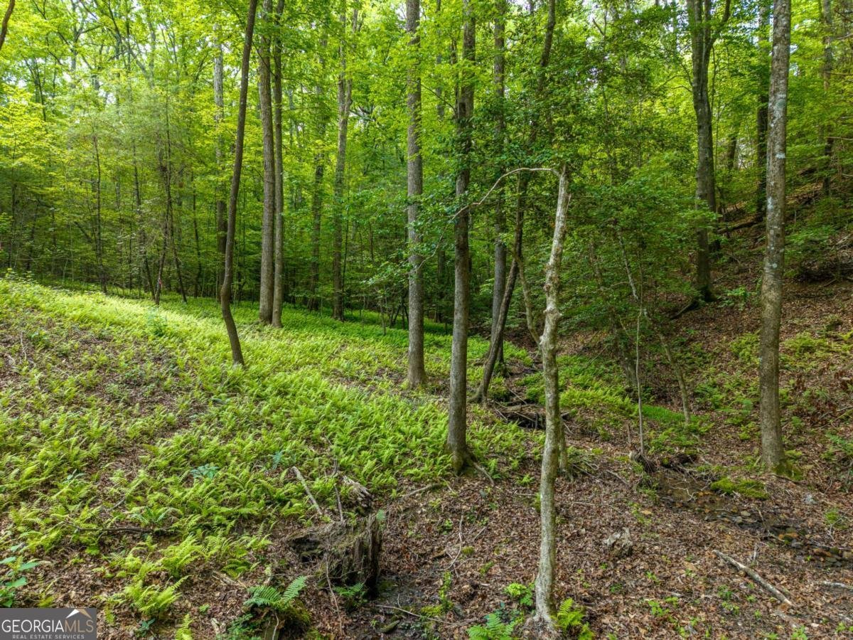 121 Orbit Lane Ellijay - Photo 49