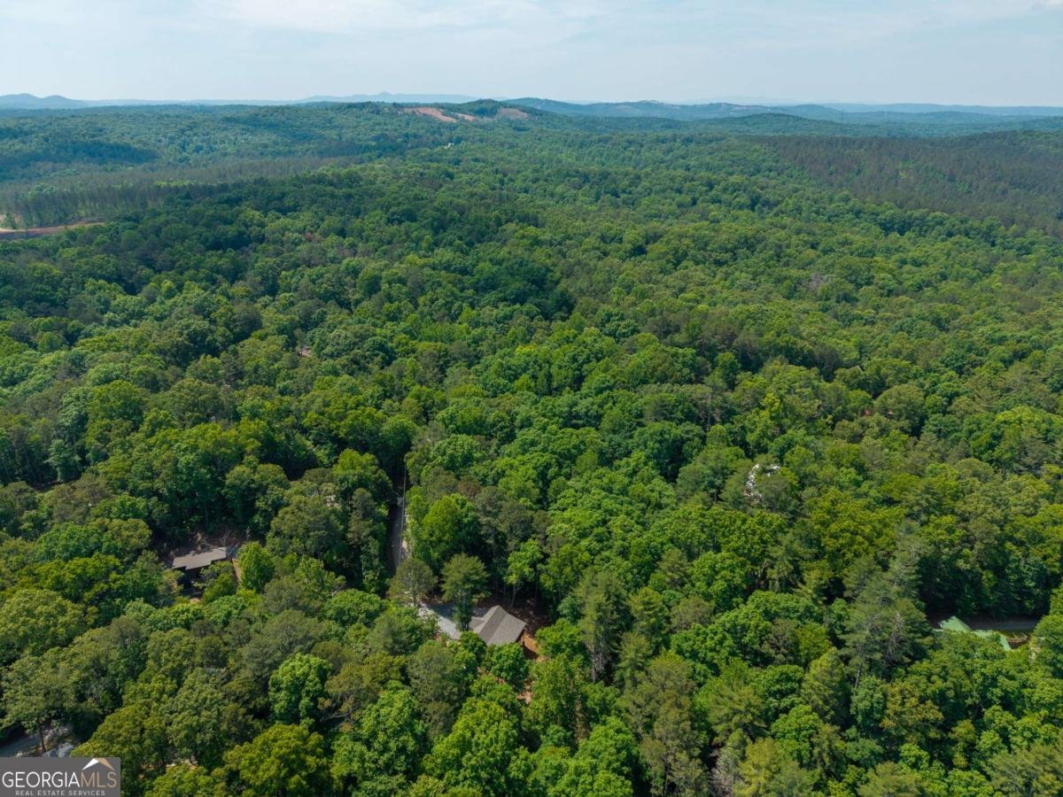 121 Orbit Lane Ellijay - Photo 51