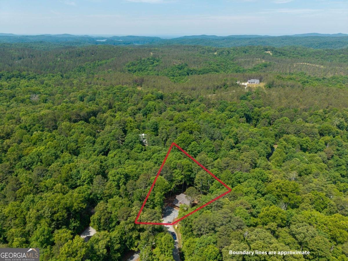 121 Orbit Lane Ellijay - Photo 52