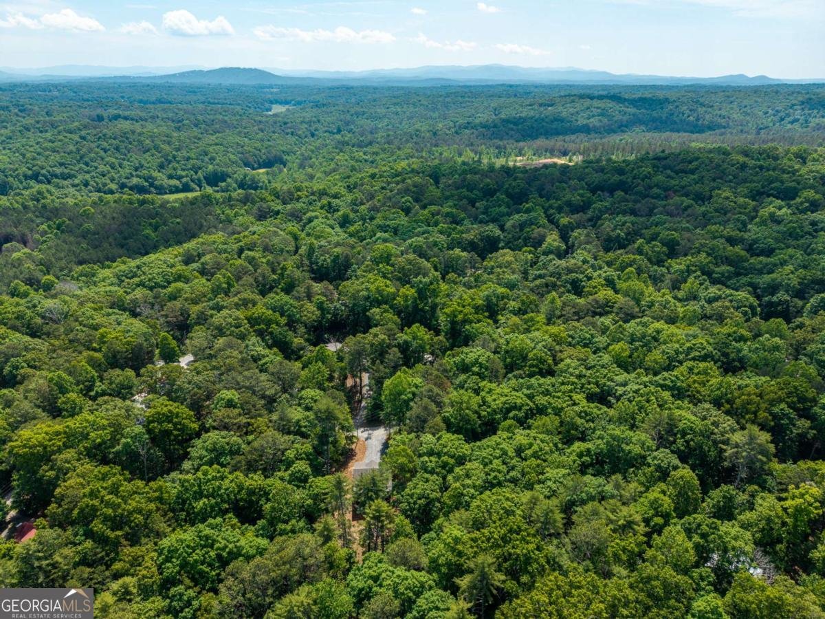 121 Orbit Lane Ellijay - Photo 53