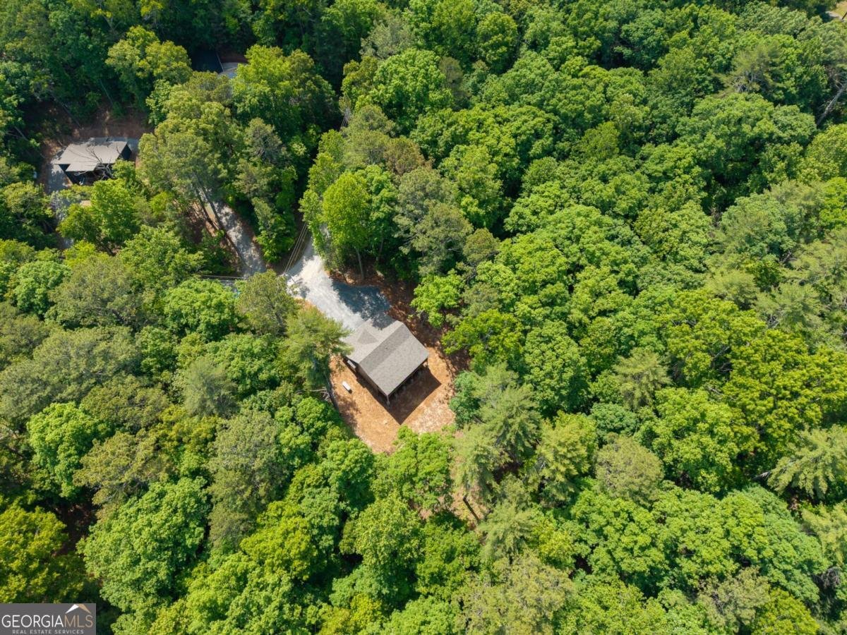 121 Orbit Lane Ellijay - Photo 54