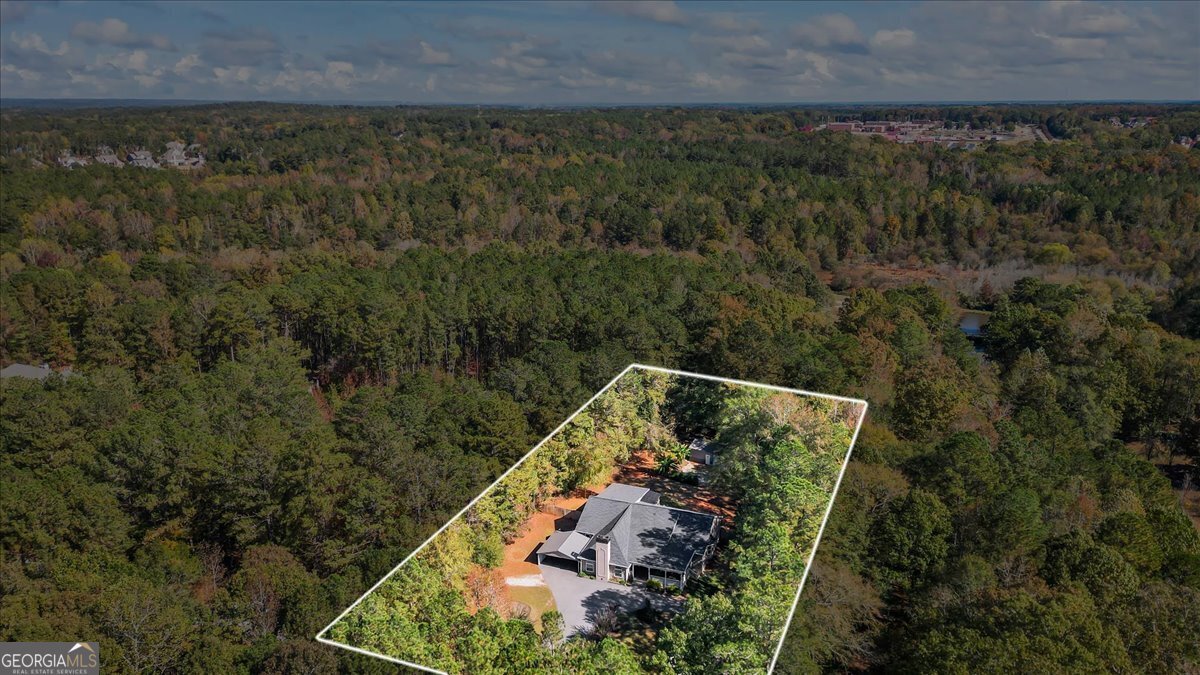 564 Eskew Road McDonough - Photo 59