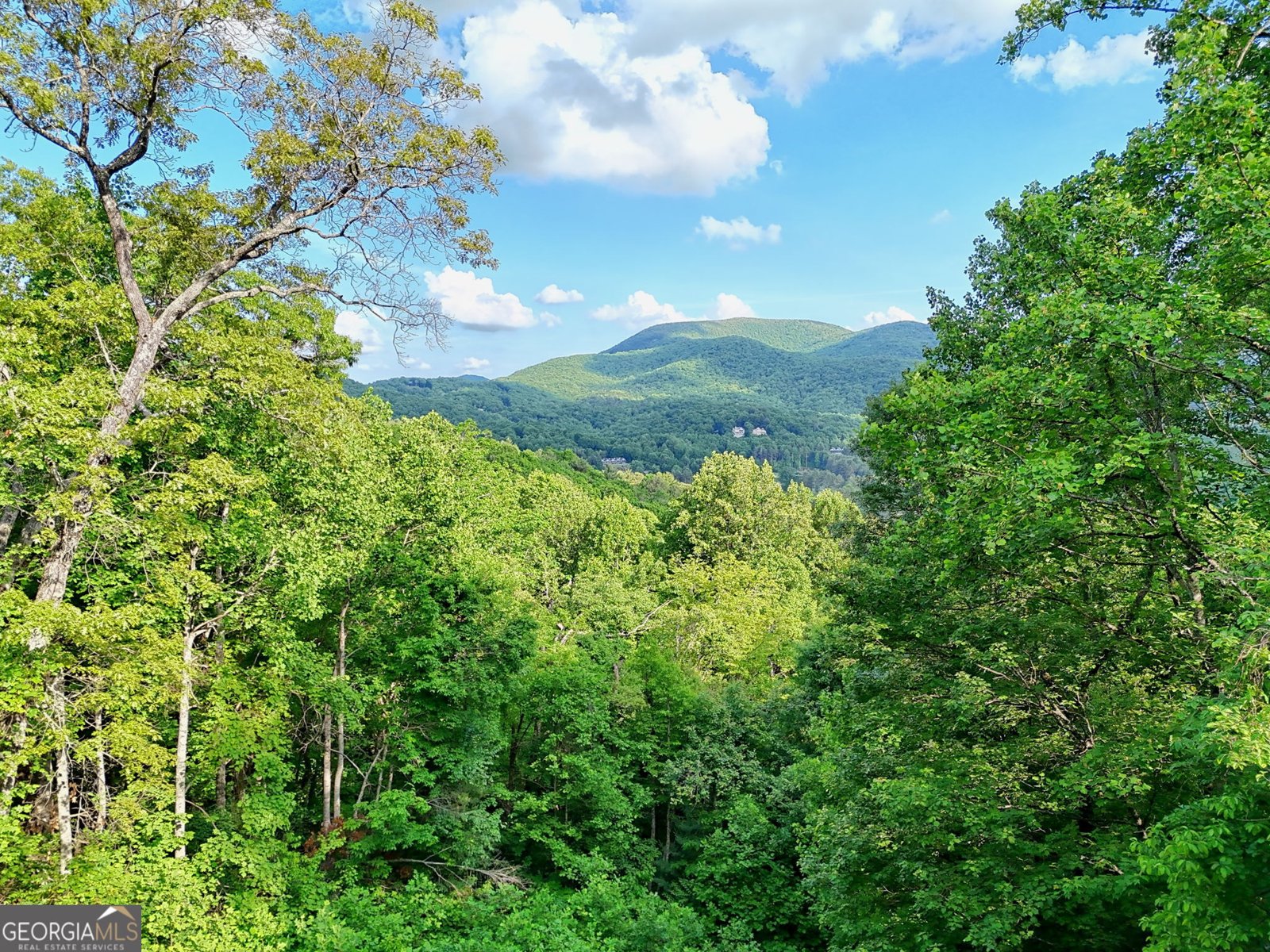 1085 Sky High Drive Dillard - Photo 39