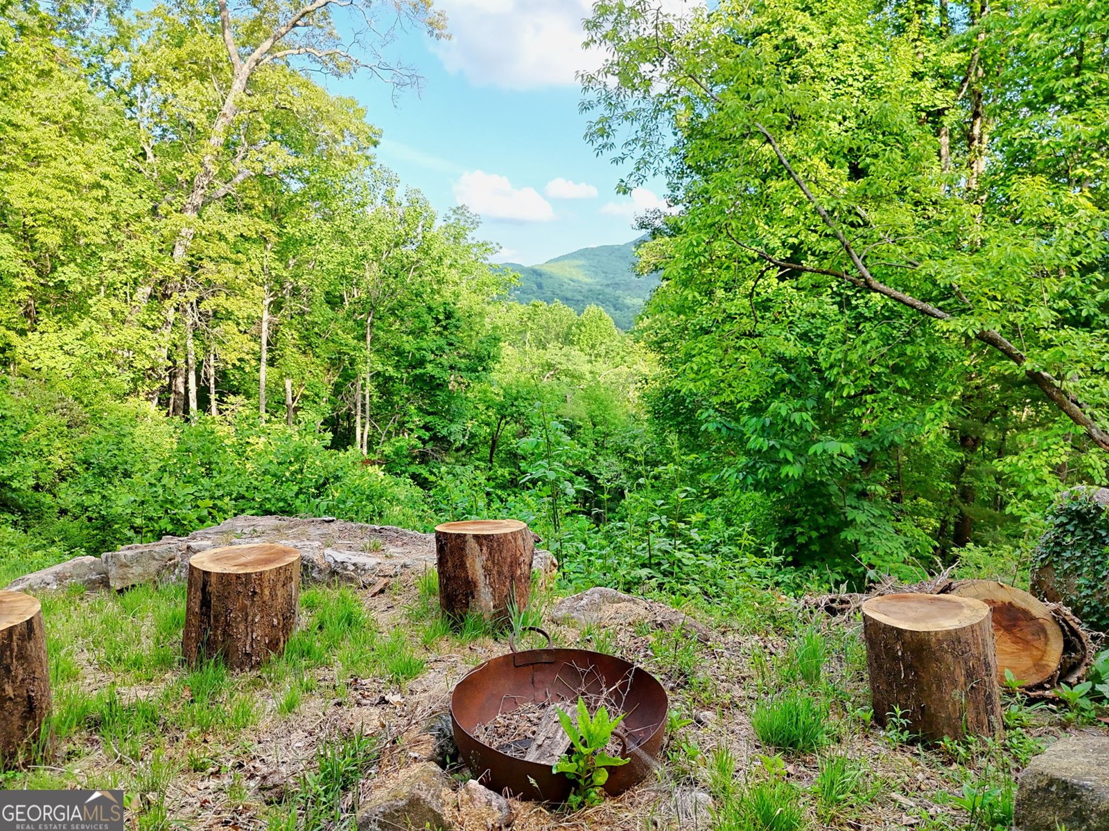 1085 Sky High Drive Dillard - Photo 40