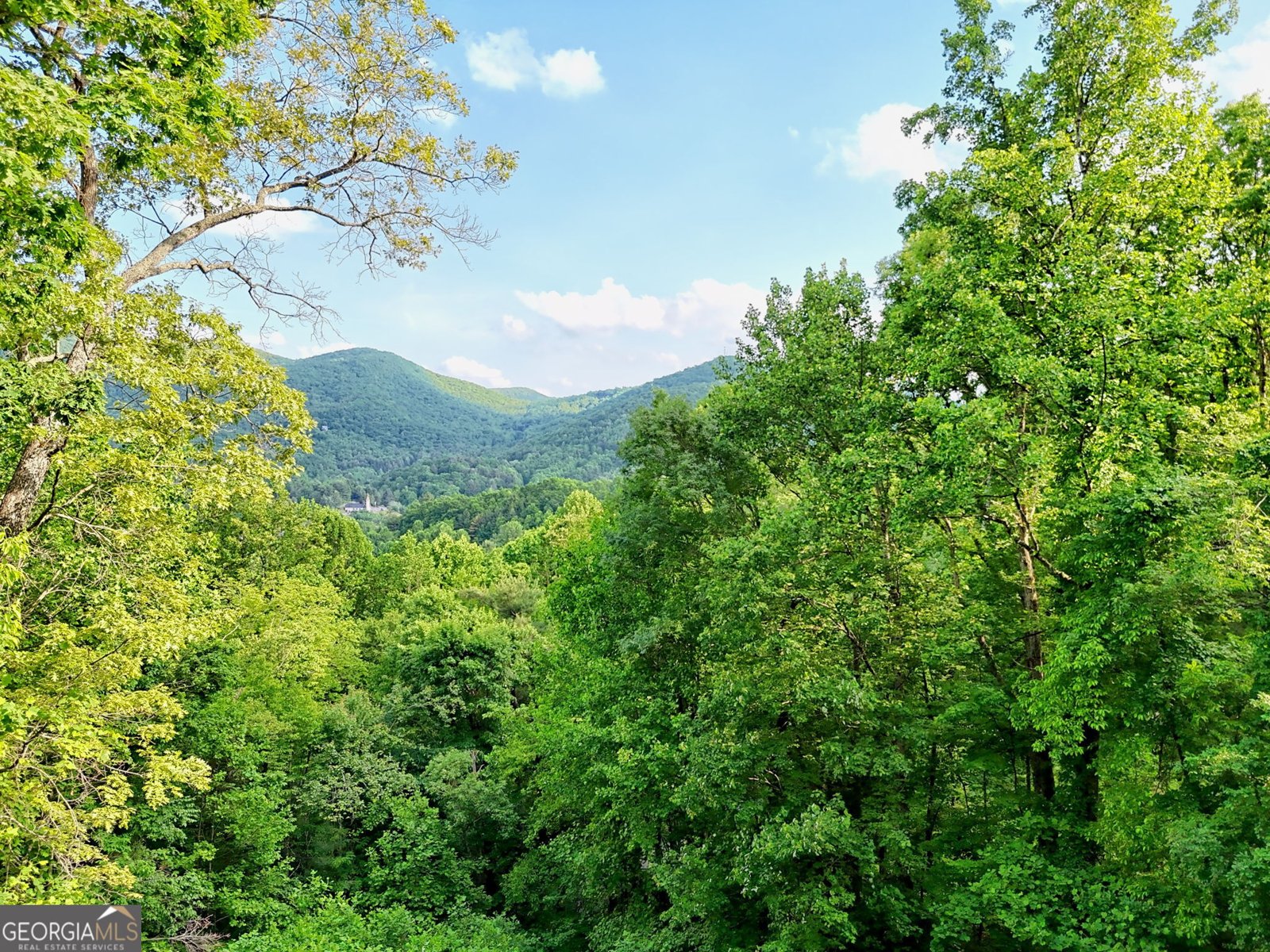 1085 Sky High Drive Dillard - Photo 41