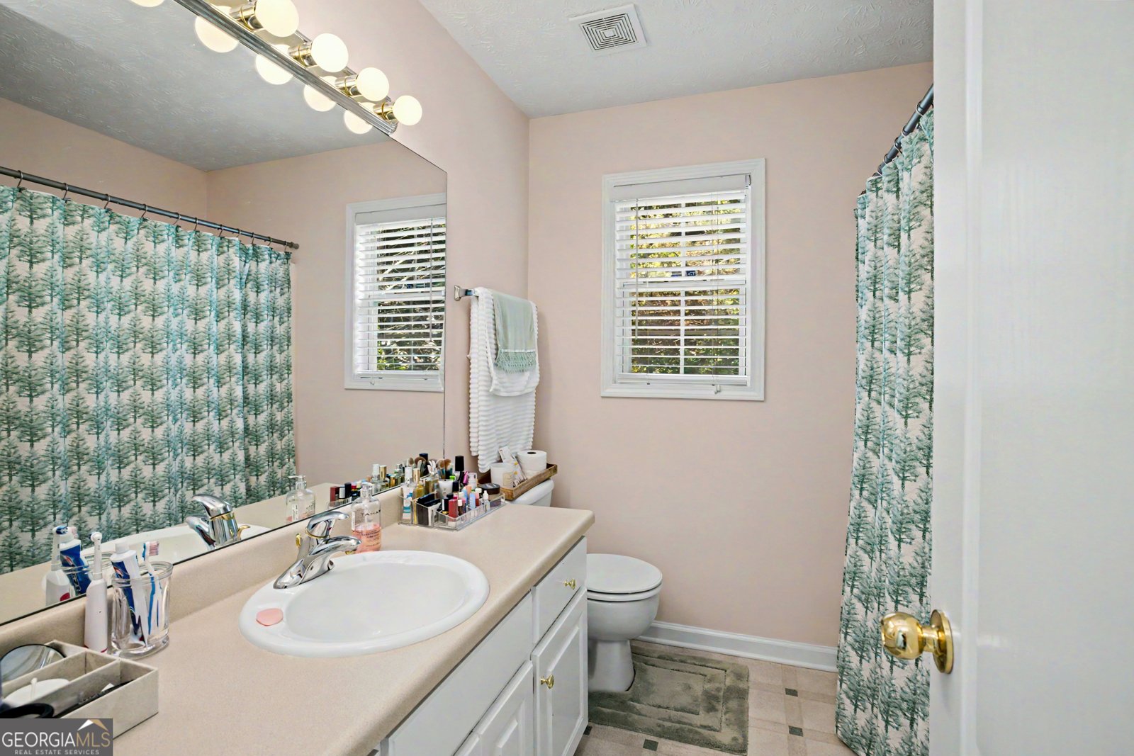 240 Albertas Court McDonough - Photo 21