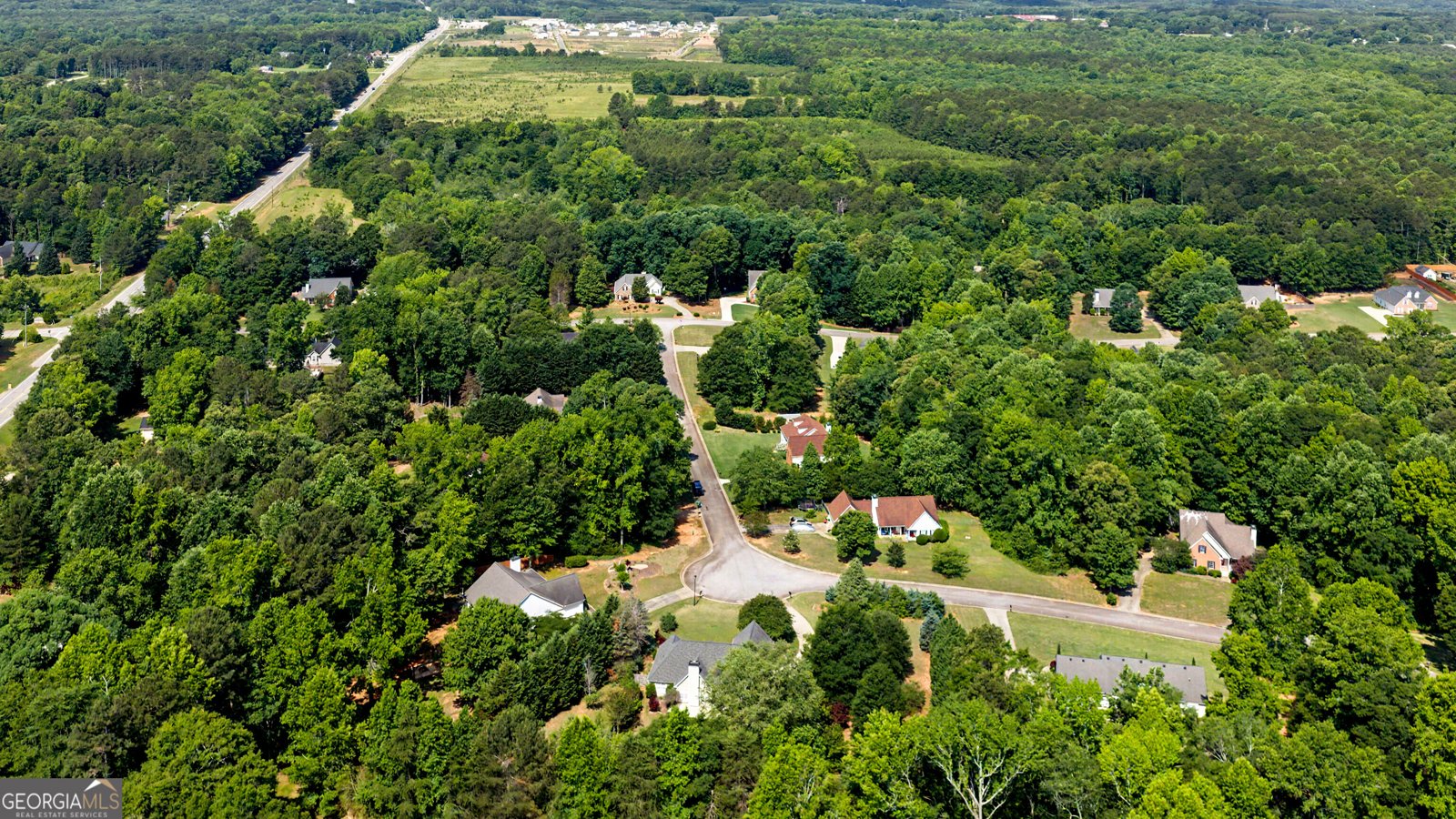 240 Albertas Court McDonough - Photo 36