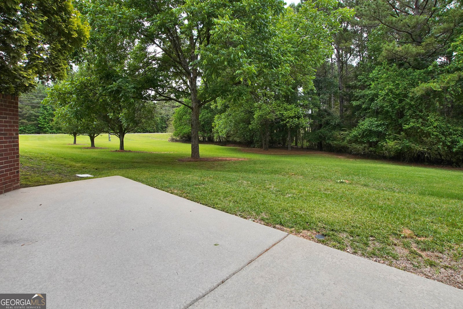 380 Peachbelt Road Thomaston - Photo 41