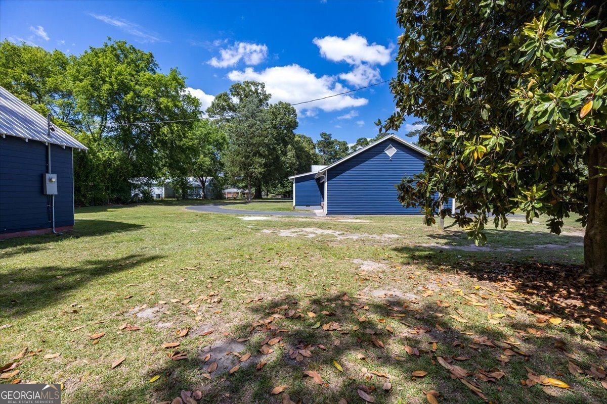 221 Gray Highway Gordon - Photo 41
