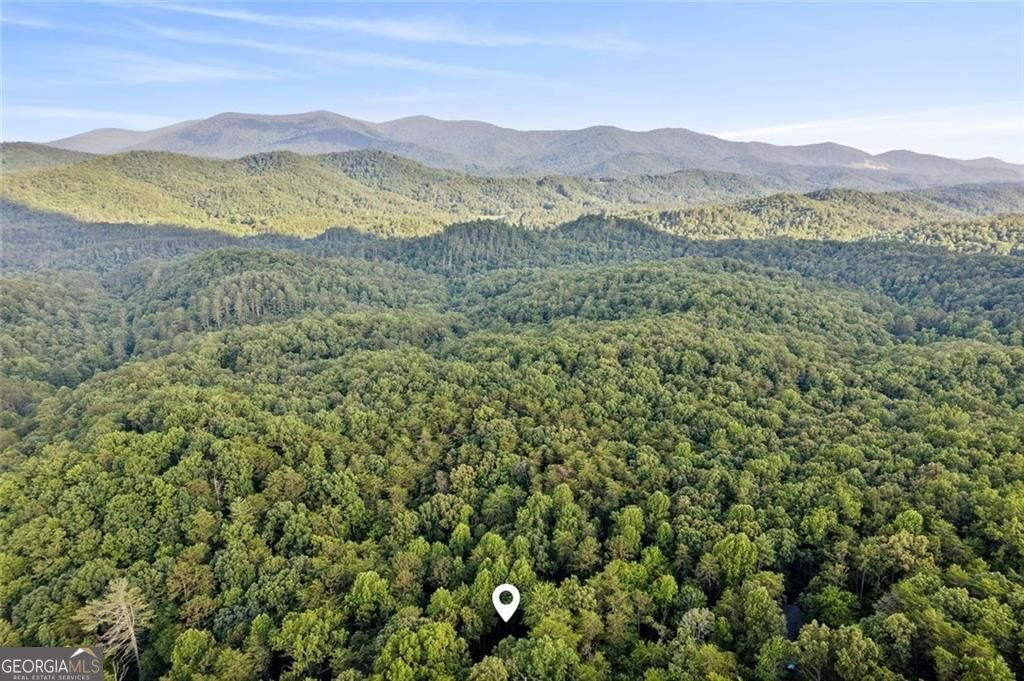 889 Granny Branch Drive Blue Ridge - Photo 39