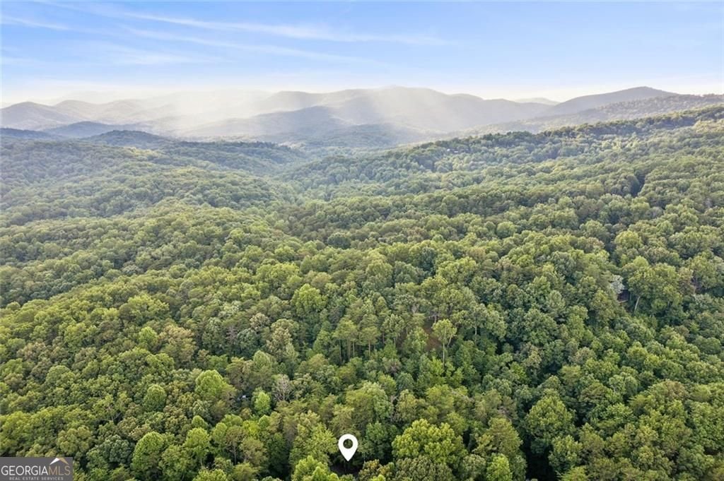 889 Granny Branch Drive Blue Ridge - Photo 41