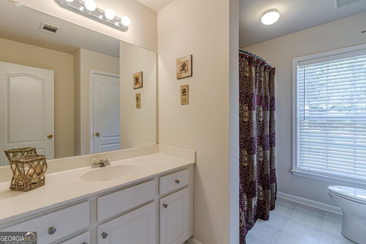 2017 Preserve Creek Way Loganville - Photo 45
