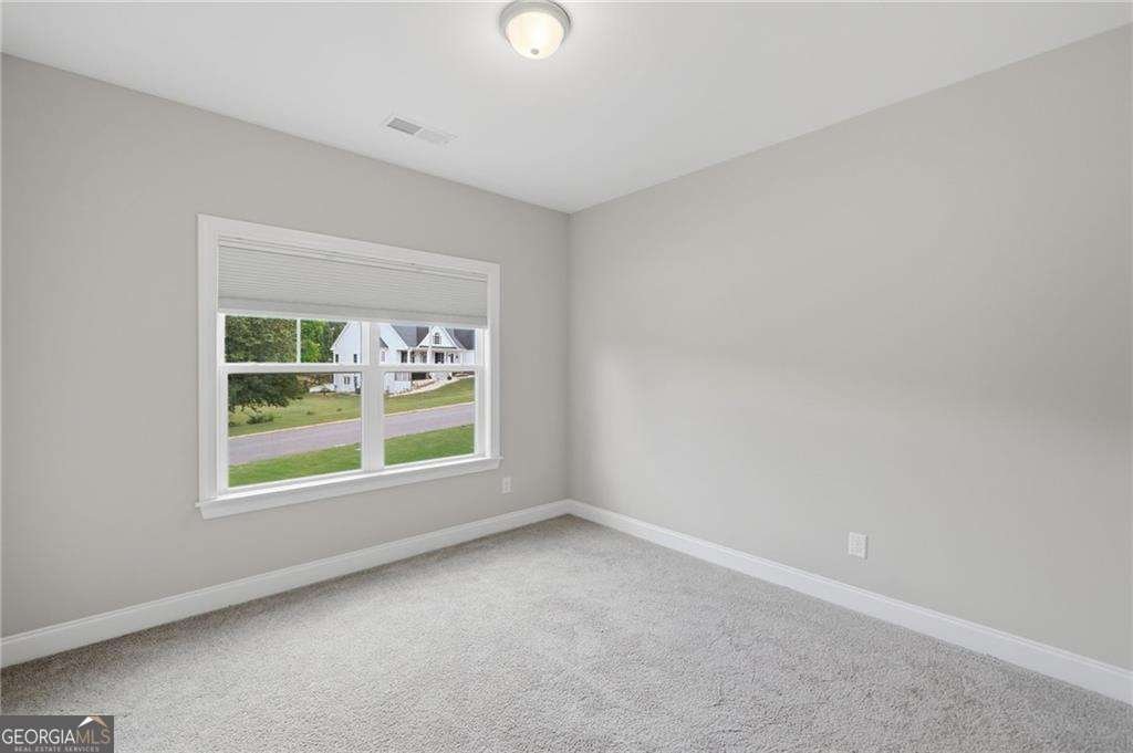7285 Hedgerose Drive Cumming - Photo 18