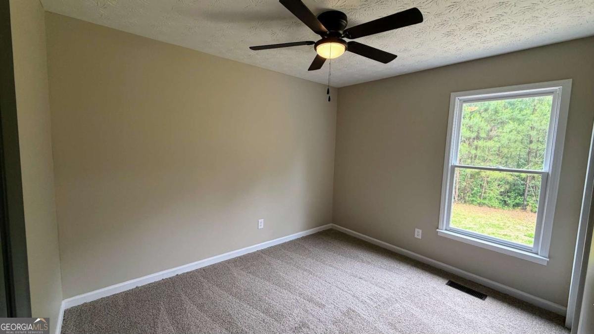 1646 Sandy Flat Road Bowdon - Photo 29