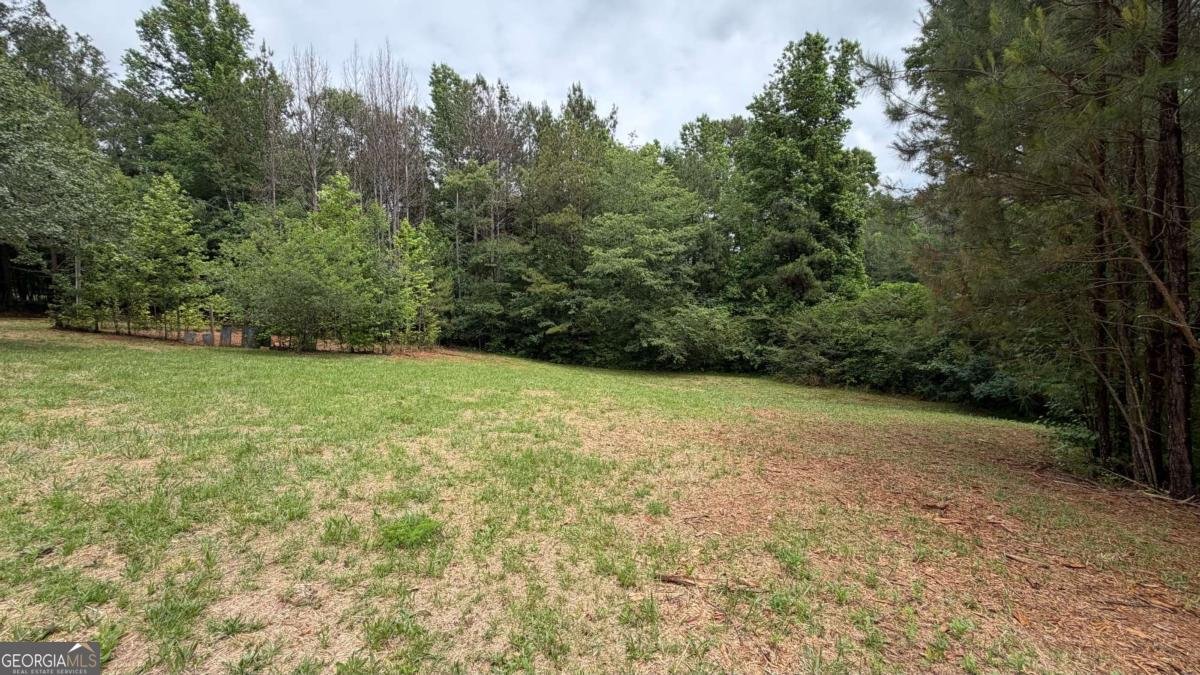 1646 Sandy Flat Road Bowdon - Photo 41
