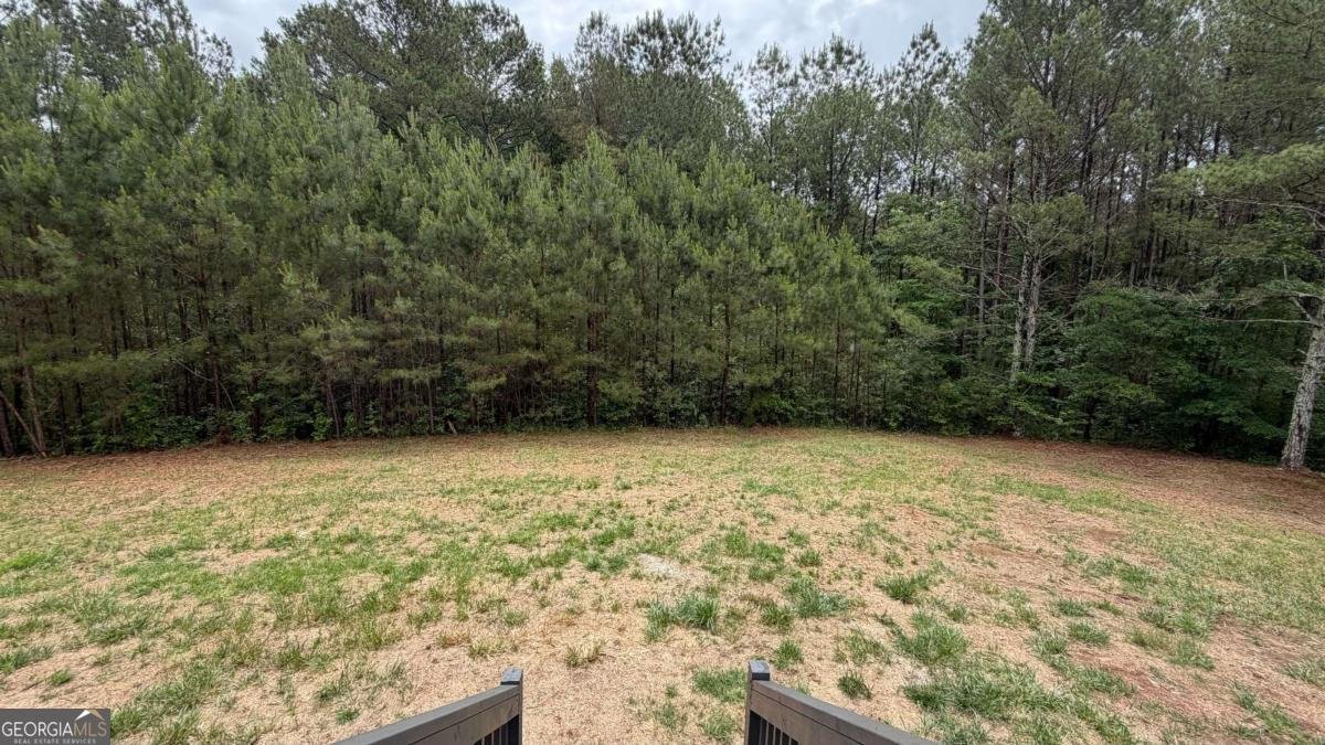 1646 Sandy Flat Road Bowdon - Photo 45