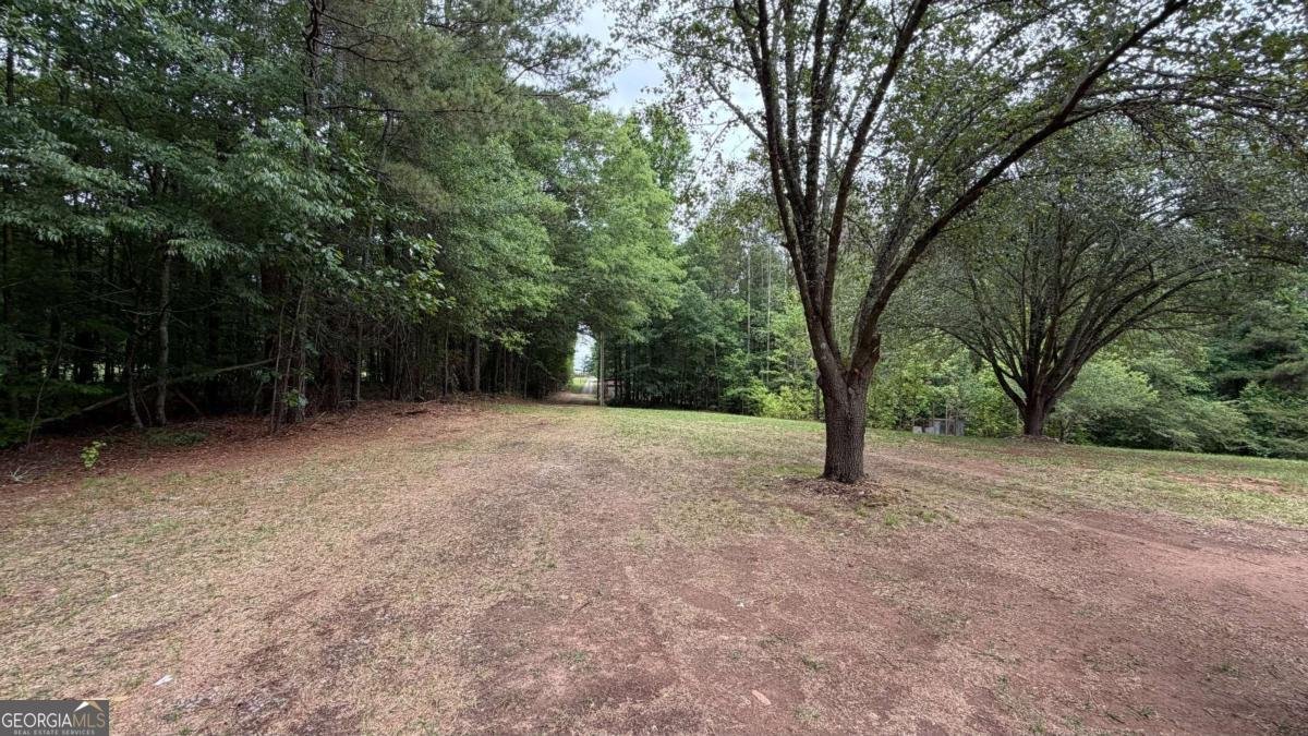 1646 Sandy Flat Road Bowdon - Photo 46