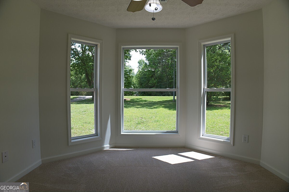 414 Buchanan Road Griffin - Photo 33