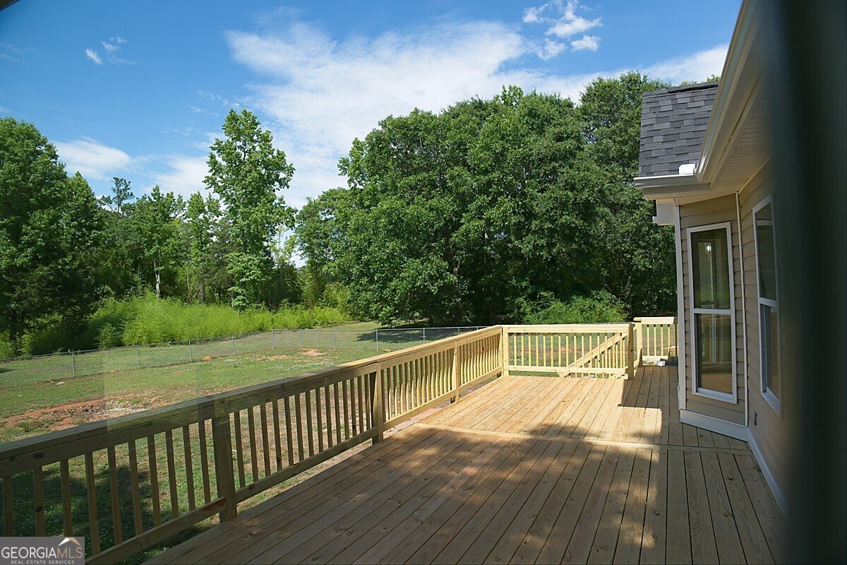 414 Buchanan Road Griffin - Photo 49